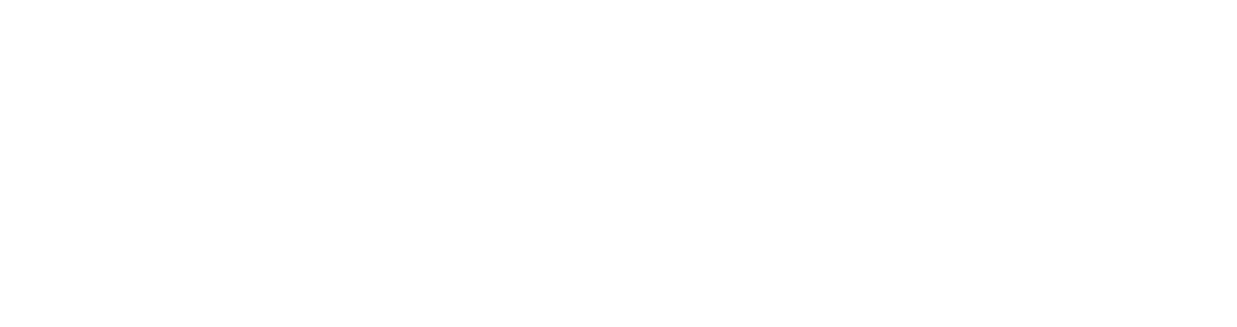 Ayuda en Acción