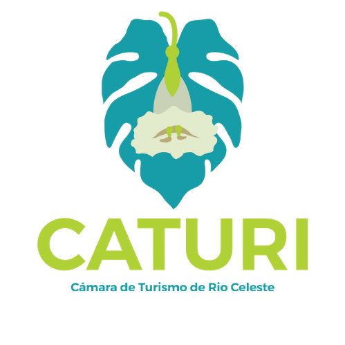 CATURI
